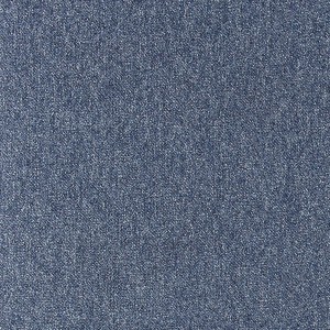 TAPIBEL COBALT SDN TAPIBEL COBALT SDN