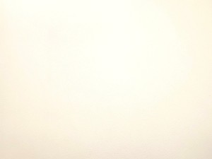 BOMA-GRIP COMFORT RAL